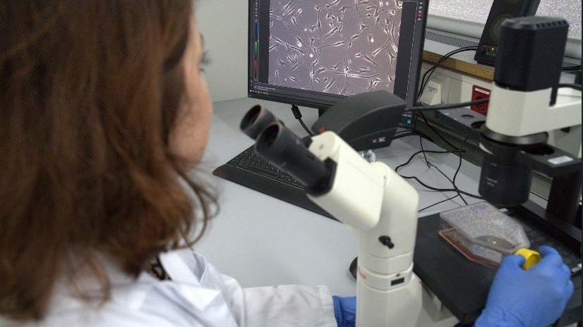 Darstellung einer Labormitarbeiterin bei der Untersuchung von Zellen. 